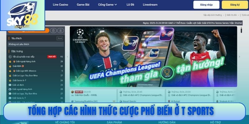 Tổng hợp các hình thức cược phổ biến ở T Sports